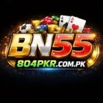 BN55 Logo